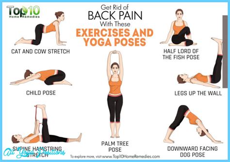 Beginner Yoga Poses For Back Pain - AllYogaPositions.com