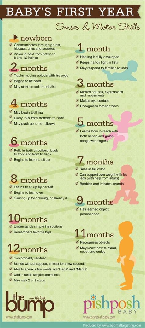 A quick guide to baby’s first year milestones – Artofit