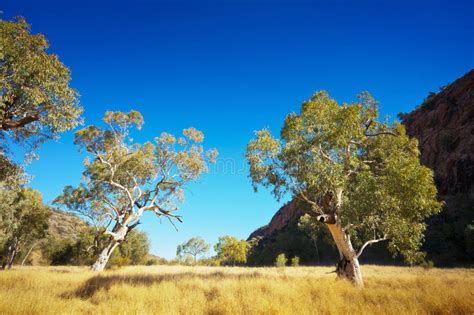 Australian Outback Landscape Stock Images - Image: 30655814