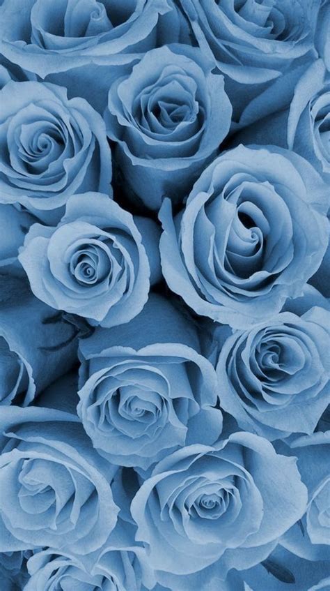 20 Shades of Serenity Blue Wallpaper Ideas : Blue Floral Wallpaper for Phone I Take You ...