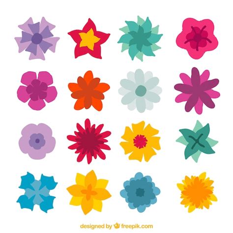 Free Vector | Colorful flowers of different shapes set