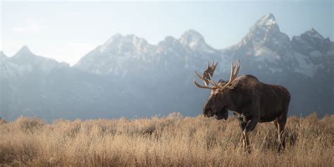 Grand Teton National Park Highlights