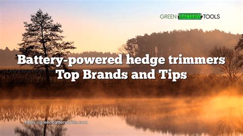 Battery-powered hedge trimmers: Top Brands and Tips for 2024 - Green Battery Tools