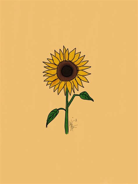 Sunflower Drawing Wallpapers - Top Free Sunflower Drawing Backgrounds - WallpaperAccess