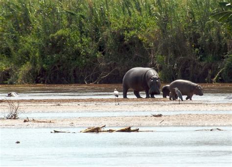 Burundi Safari and Tours, Things To Do