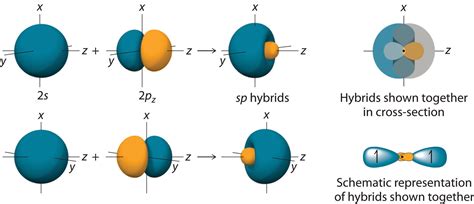 9.5: Hybrid Orbitals - Chemistry LibreTexts