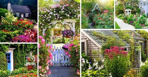 15 Vibrant Cottage Garden Layouts To Enchant You