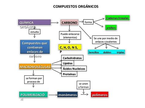 Mapa mental con los procesos físicos presentes en la elaboración de los elementos orgánicos ...