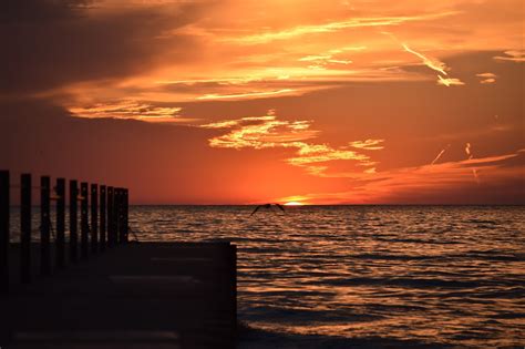 Lake Michigan Sunrise - Floradise