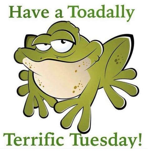 Good Morning Tuesday Quotes Funny / Do The Tuesday Twist Pictures, Photos, and Images for ...