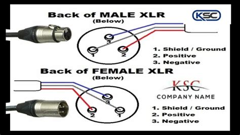 Stereo Jack To Xlr Wiring