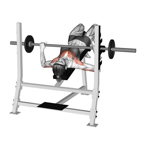 Decline Bench Press How To Strength Level, 43% OFF