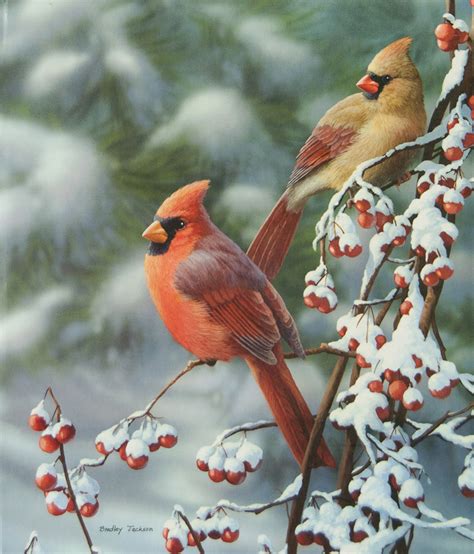 Winter Cardinals Christmas Register