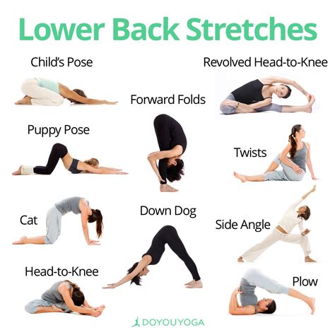 Stretch your lower back...it's kind of important | Estiramientos de yoga, Ejercicios, Ejercicios ...