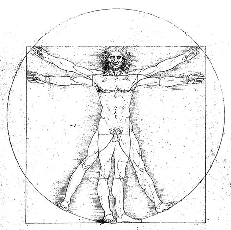 Notebooks, Vitruvian Man | Exemplar Fragmentorum