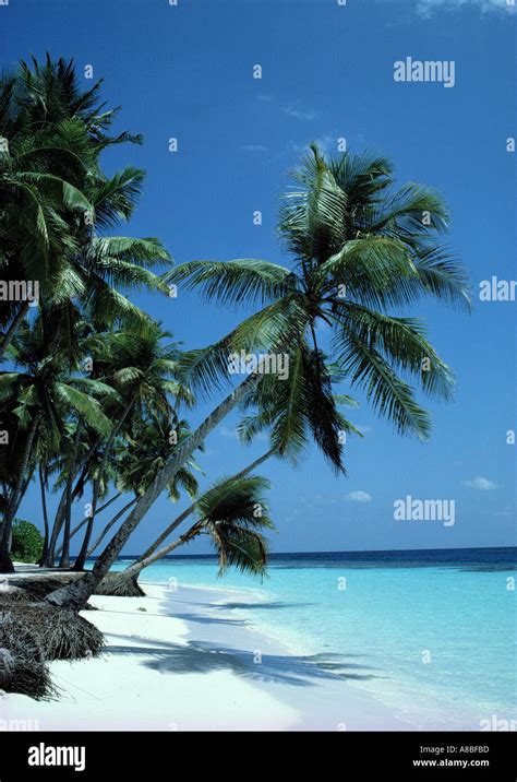 tropical beach seychelles Stock Photo - Alamy