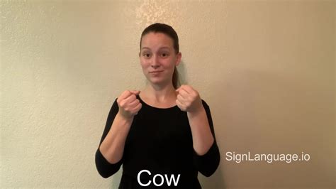 cow in ASL - Example # 6 - American Sign Language