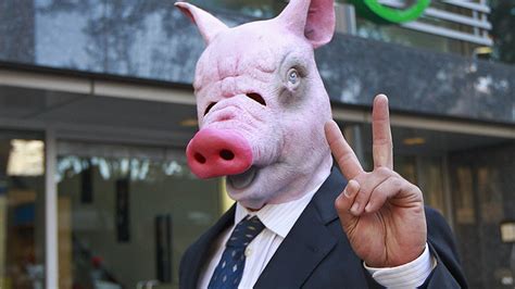 Animal Farm: Scientists create first pig-human hybrid (PHOTO) — RT Viral