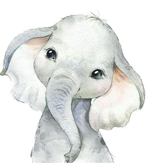 "Baby Elephant" by vibesofcolor | Redbubble