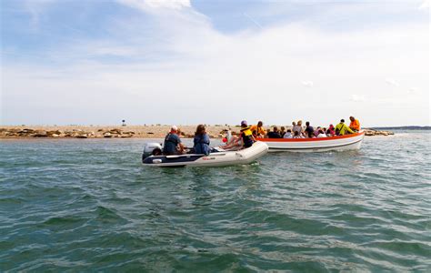 Blakeney Point: Where to see seals in Norfolk | GoodtoKnow