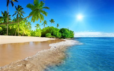 Coconut trees, beach, palm trees, tropical HD wallpaper | Wallpaper Flare