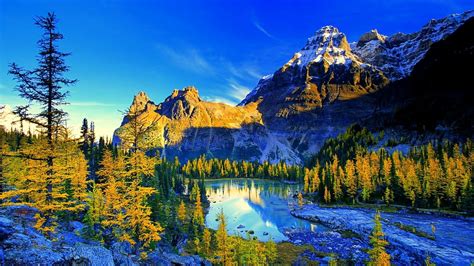 Lake O'Hara (Yoho National Park) wallpaper - backiee