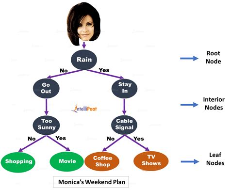 Decision Tree Machine Learning Algorithm