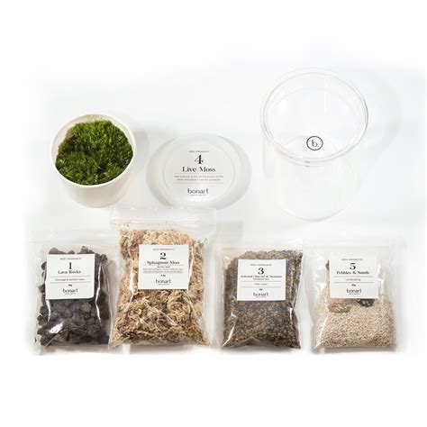 DIY KIT/ MOSS TERRARIUM – Bonart Biophilia