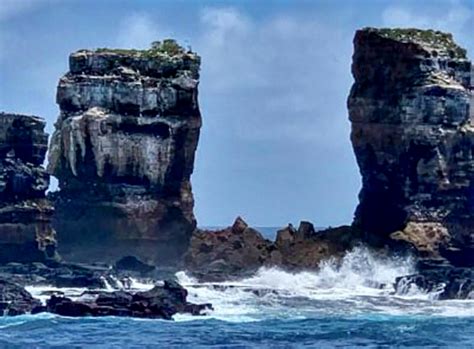 The iconic Darwin Arch in the Galapagos Islands collapses into the sea | Environmental News ...