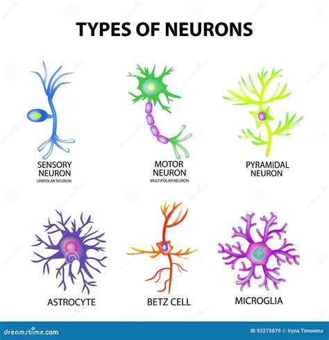 Microglia Cartoons, Illustrations & Vector Stock Images - 154 Pictures to download from ...