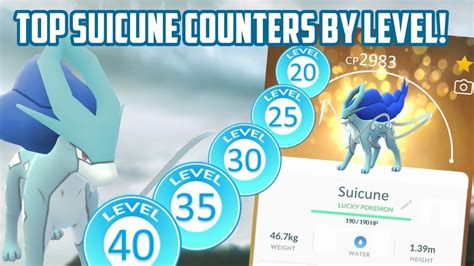 Top Suicune Raid Counters By Level In Pokemon Go! Prep For Shiny Suicune Raid Day - Pokemon Go ...