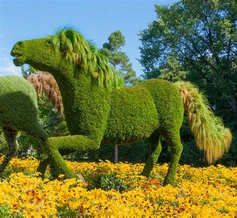 A More Fun Garden With Animal Topiary - A Mum Reviews