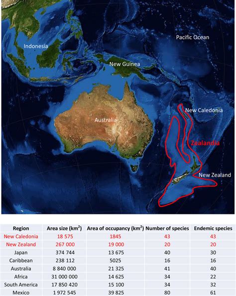 Geographical context of the now 93% submerged continent Zealandia and... | Download Scientific ...