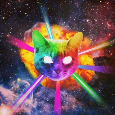 Cats, lasers, explosions and space. Pretty much the most amazing picture i have seen with my ...