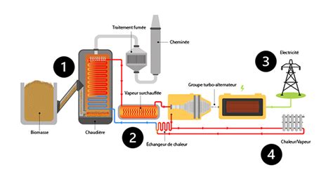 Biomass power plants: operation, advantages and disadvantages | Be Atex