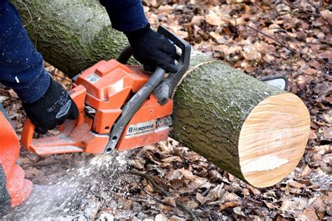 Most Popular Wood Cutting Tools that You Should Know about - The Blog Frog