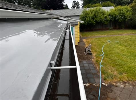 Roof and Gutter Cleaning - SoftwashPros LLC