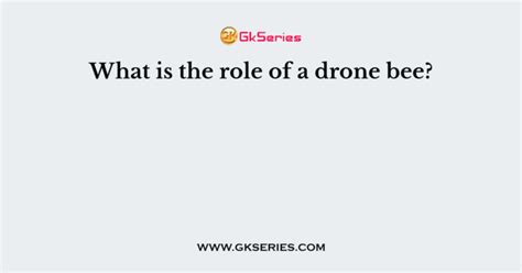 What is the role of a drone bee?