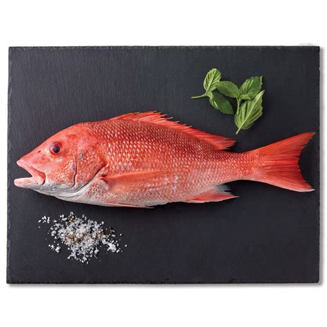 Red Snapper Fish (400 - 600gm) - Savour Gourmet