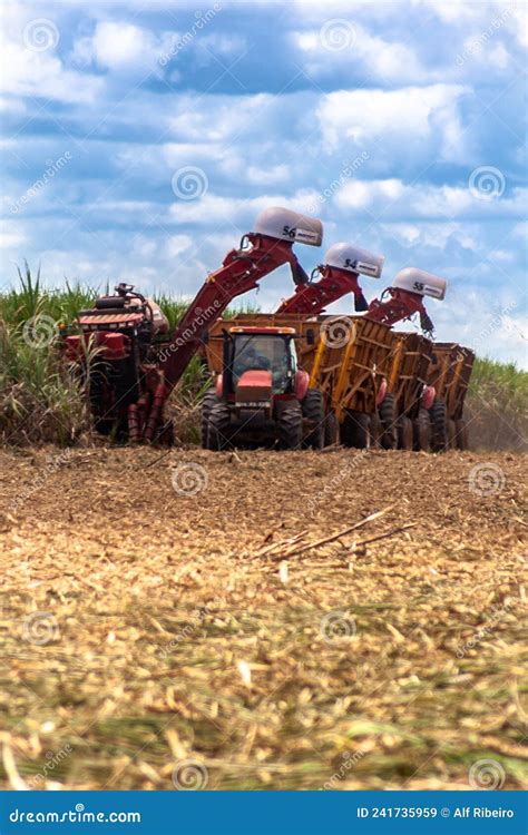 Sugar Cane Harvesting in Brazil Editorial Stock Image - Image of agriculture, machinery: 241735959