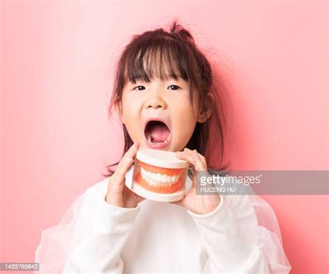 Child Skull Teeth Photos and Premium High Res Pictures - Getty Images