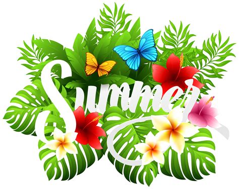 summer png clipart - Clip Art Library