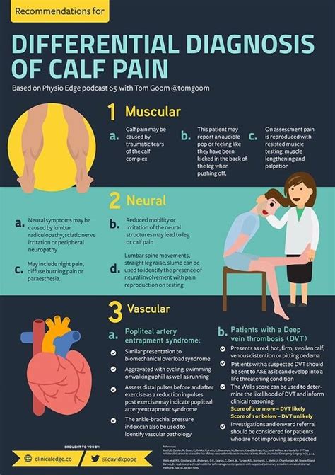 Calf pain - Where, when and why? - Apex Physiotherapy