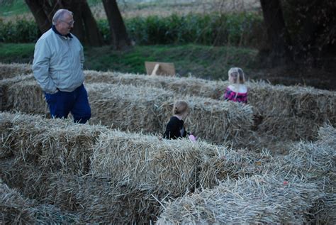 The Nielsens: Corn Maze Fun!!