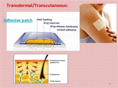 1. introduction, route of administration