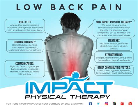 Low Back Pain Diagram