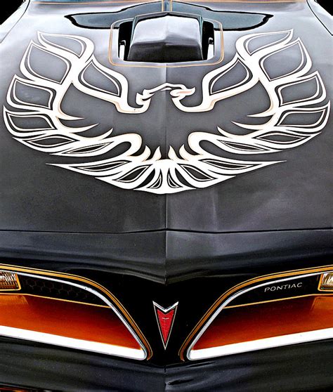 Pontiac Trans Am Firebird Emblem Photograph by Gill Billington