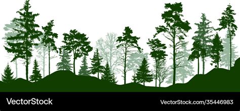 Forest silhouette green trees coniferous Vector Image