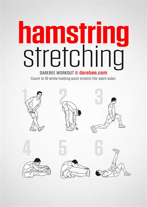 Hamstring Stretch