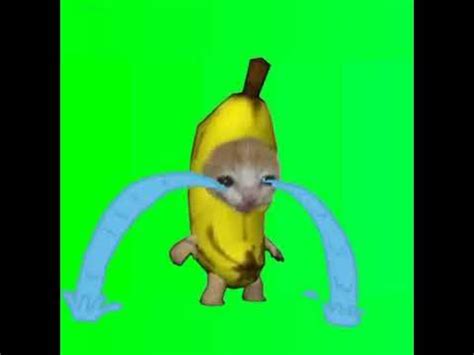 Banana cat crying green screen Video - YouTube